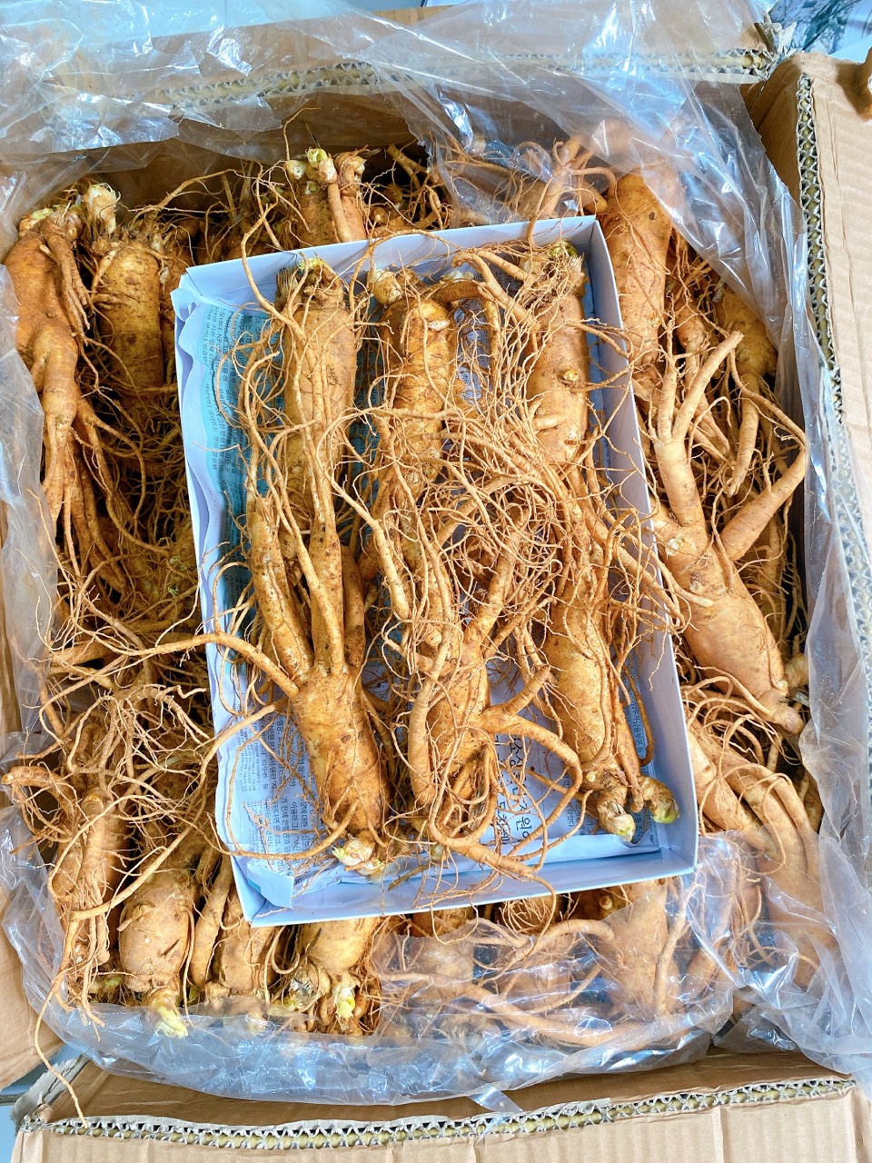 6 củ / 1kg